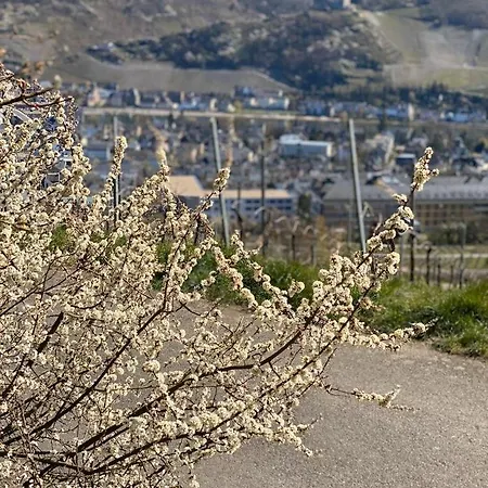 Kleine Stadthaus Bernkastel-Kues