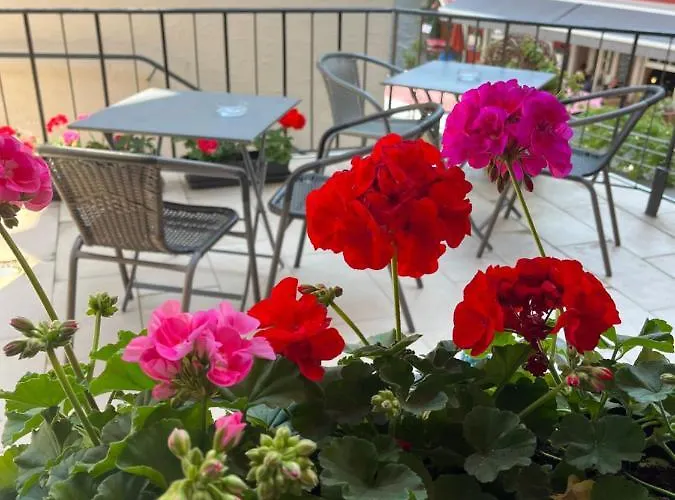 Lägenhet Kleine Stadthaus Bernkastel-Kues