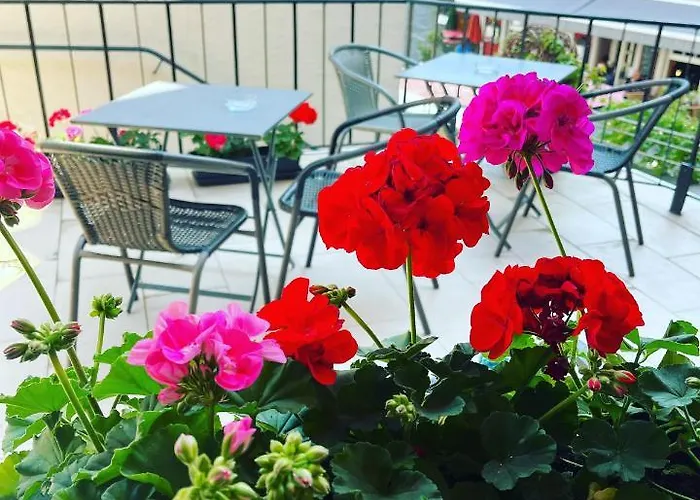 Kleine Stadthaus Lägenhet Bernkastel-Kues