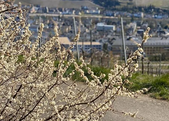 Kleine Stadthaus Bernkastel-Kues